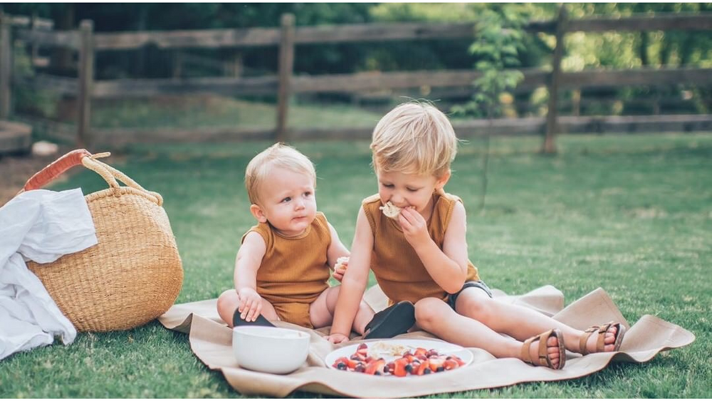Picnic Friendly Foods Your Littles Will Actually Enjoy