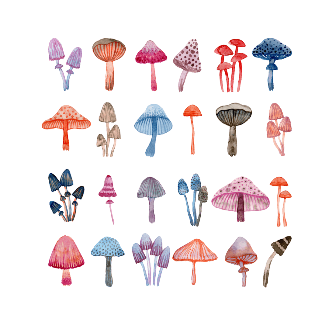 watercolor mushroom print