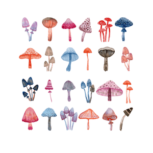 watercolor mushroom print